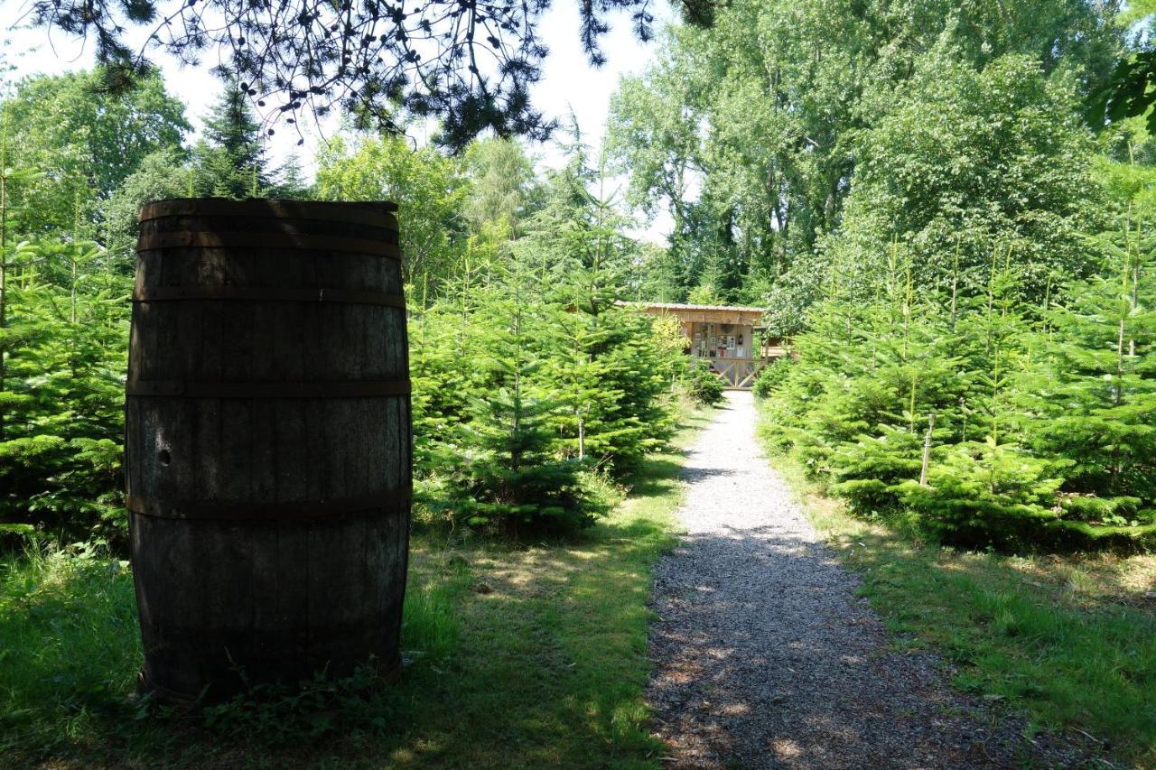 فندق Levaltipis Saint-Gâtien-des-Bois المظهر الخارجي الصورة