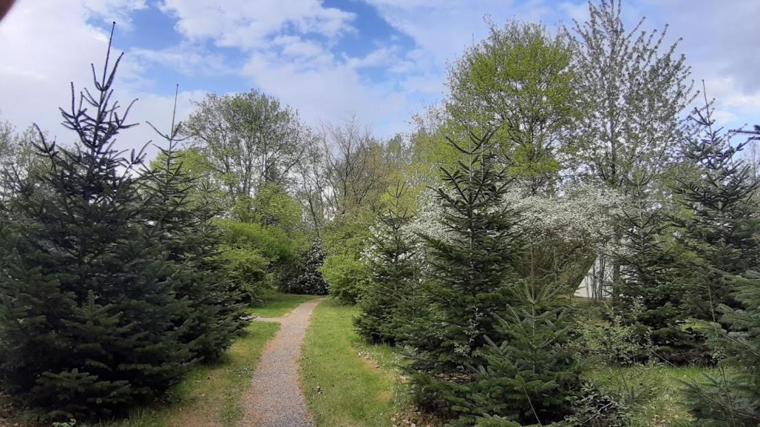 فندق Levaltipis Saint-Gâtien-des-Bois المظهر الخارجي الصورة