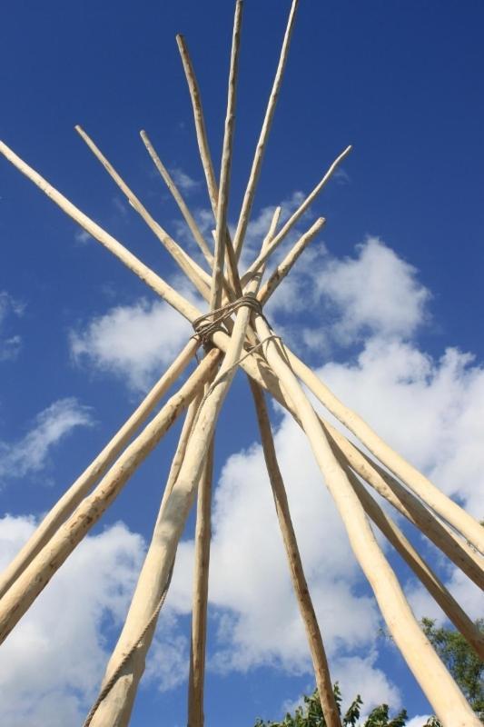 فندق Levaltipis Saint-Gâtien-des-Bois الغرفة الصورة