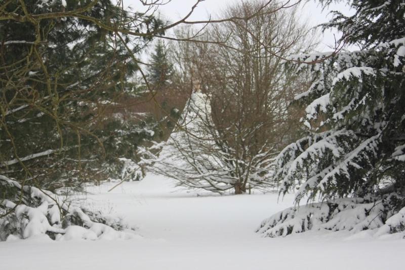 فندق Levaltipis Saint-Gâtien-des-Bois الغرفة الصورة