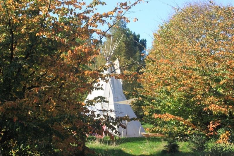 فندق Levaltipis Saint-Gâtien-des-Bois الغرفة الصورة