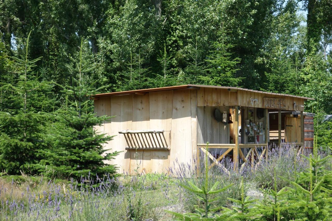 فندق Levaltipis Saint-Gâtien-des-Bois المظهر الخارجي الصورة